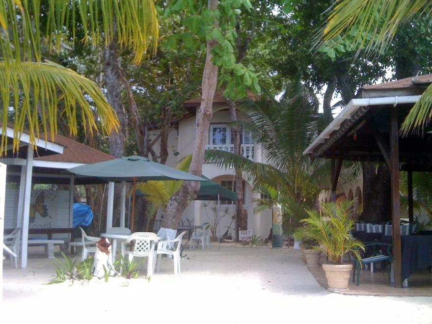 Name:  jamaica2011 826.jpg
Views: 390
Size:  94.7 KB