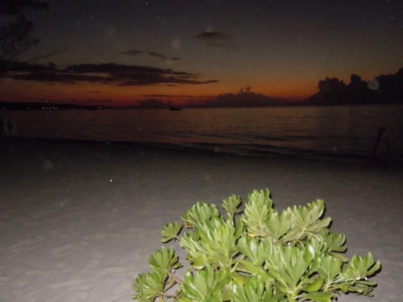 Name:  DSCN3043 (800x600).jpg
Views: 658
Size:  36.6 KB