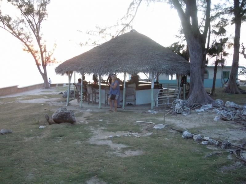 Name:  DSCN3013 (800x600).jpg
Views: 430
Size:  68.2 KB