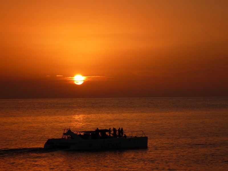 Name:  Jamaica 20110422 sunset wildthing from cfs.JPG
Views: 687
Size:  77.6 KB
