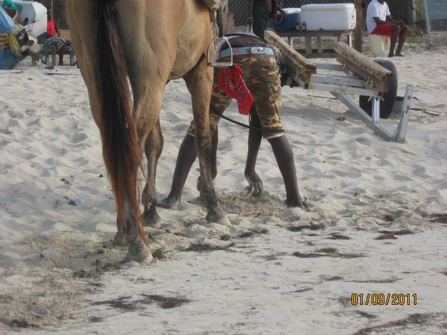 Name:  IMG_4657.JPG
Views: 324
Size:  95.3 KB