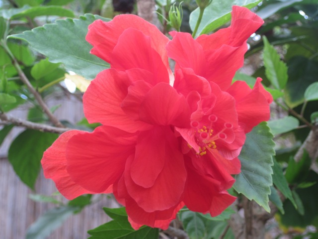 Name:  004.JPG
Views: 365
Size:  85.3 KB