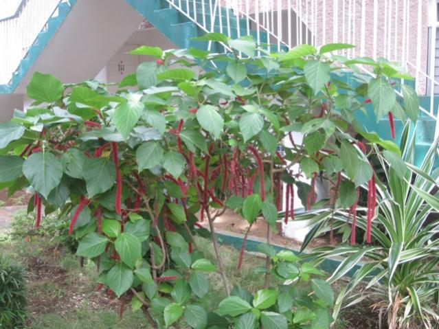 Name:  012.jpg
Views: 399
Size:  63.2 KB