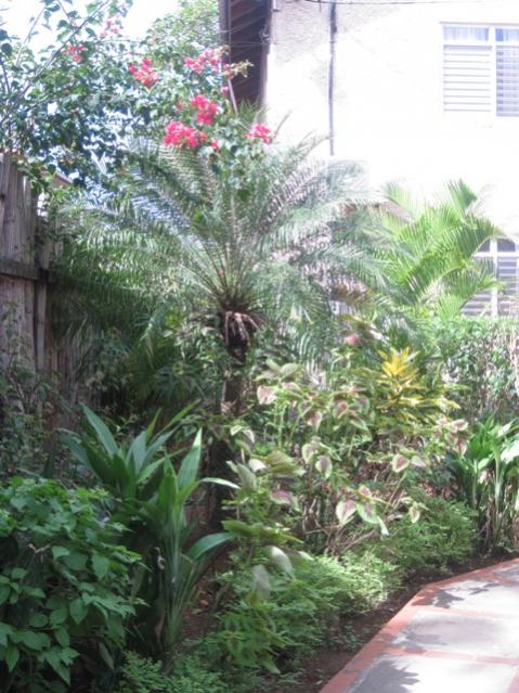 Name:  016.jpg
Views: 511
Size:  66.3 KB