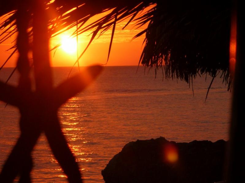 Name:  Jamaica 20110424 sunset from ivans.jpg
Views: 696
Size:  49.1 KB