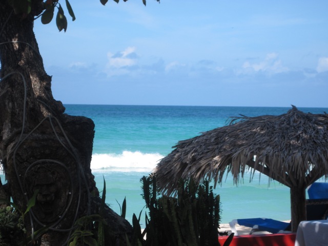 Name:  033.JPG
Views: 305
Size:  80.8 KB