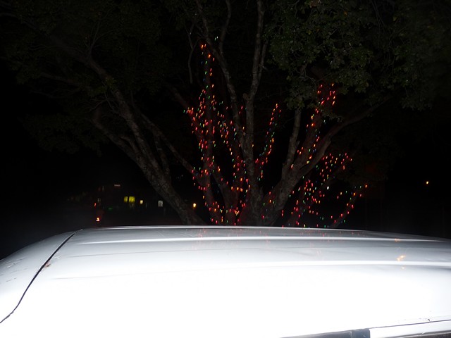 Name:  P1020692.JPG
Views: 751
Size:  78.9 KB