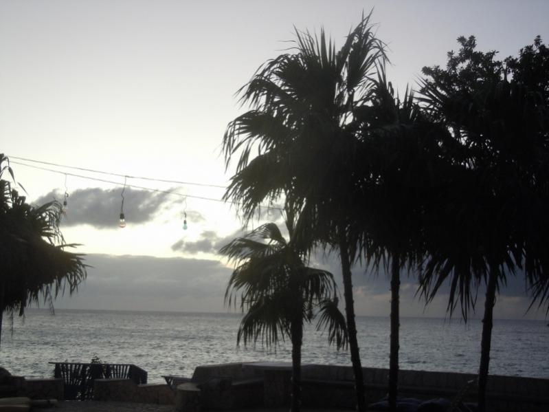 Name:  DSCN3108 (800x600).jpg
Views: 276
Size:  51.2 KB