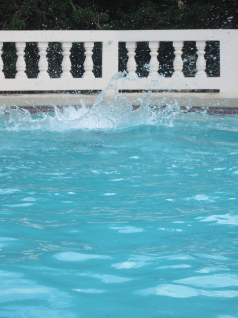 Name:  061.JPG
Views: 402
Size:  95.6 KB