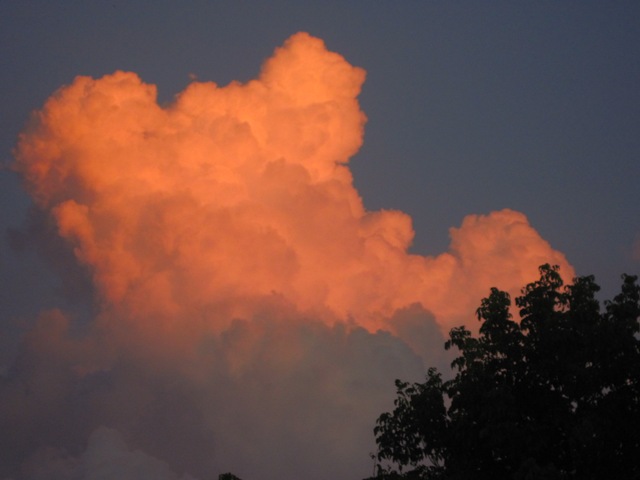 Name:  120.JPG
Views: 445
Size:  56.9 KB