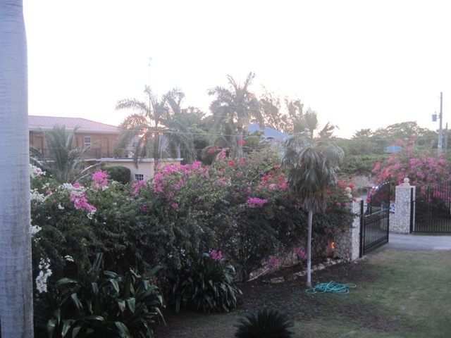 Name:  122.JPG
Views: 447
Size:  96.7 KB