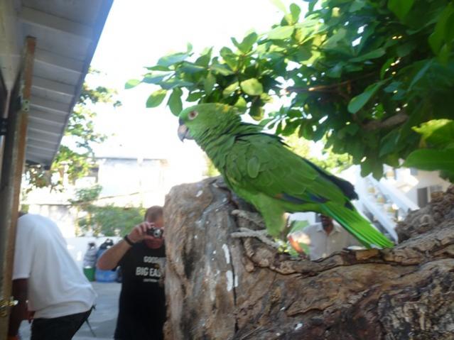 Name:  P1020795.jpg
Views: 746
Size:  47.2 KB