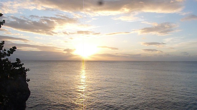Name:  P1020799.JPG
Views: 702
Size:  87.9 KB