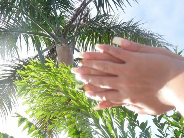 Name:  P1020824.jpg
Views: 759
Size:  65.2 KB