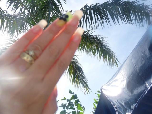 Name:  P1020826.jpg
Views: 765
Size:  45.7 KB