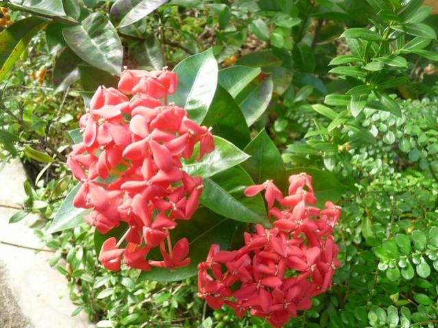 Name:  ja5 039.jpg
Views: 553
Size:  66.1 KB