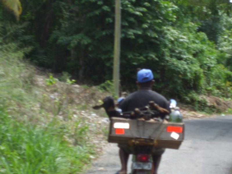 Name:  274.jpg
Views: 540
Size:  50.4 KB