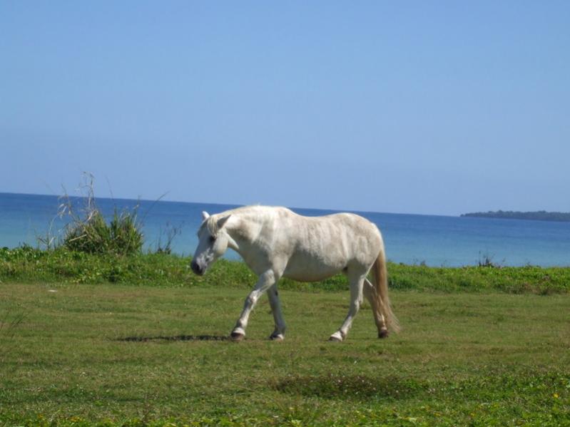 Name:  1328.jpg
Views: 379
Size:  47.4 KB
