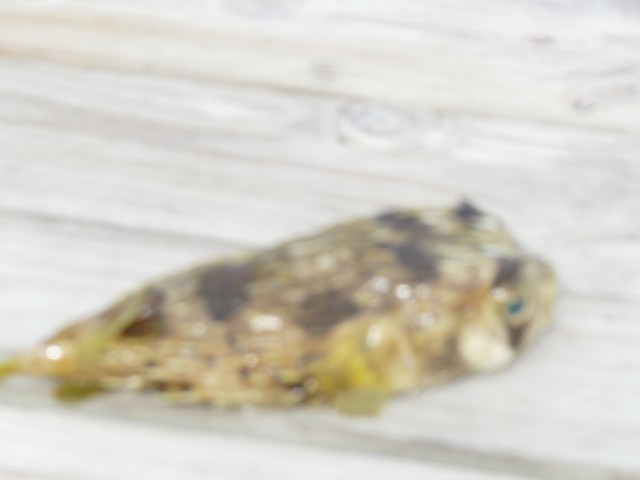 Name:  ja8 018.JPG
Views: 625
Size:  44.3 KB