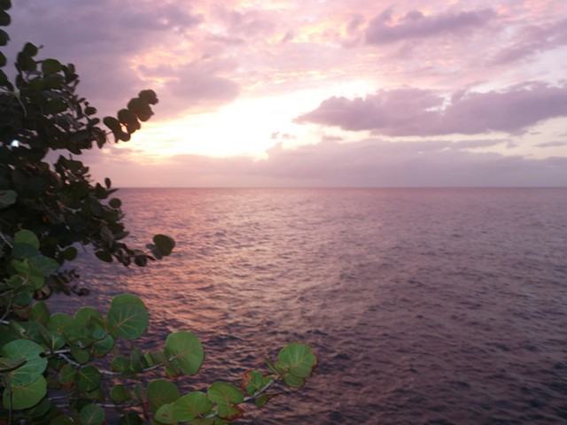 Name:  ja8 052.JPG
Views: 589
Size:  80.6 KB