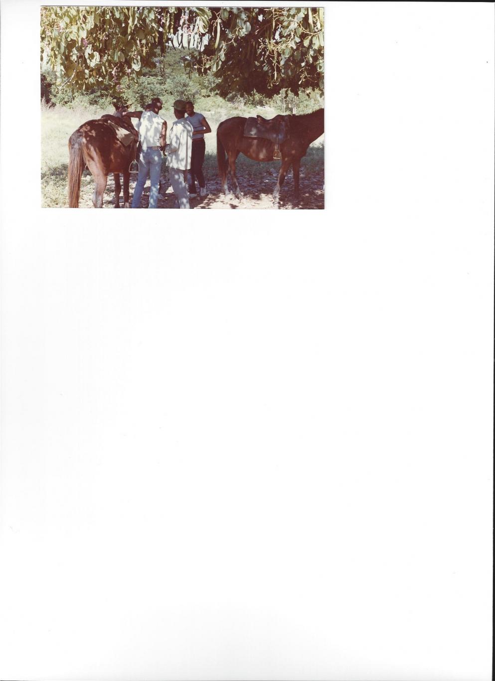 Name:  Scan0028.jpg
Views: 670
Size:  86.0 KB