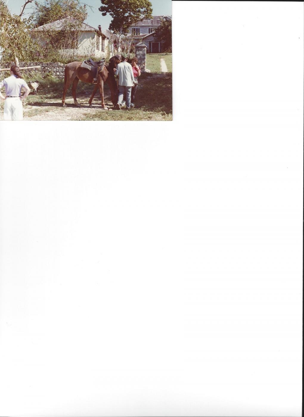 Name:  Scan0027.jpg
Views: 680
Size:  88.9 KB