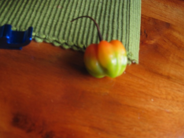 Name:  015.JPG
Views: 345
Size:  64.3 KB