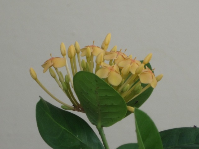Name:  094.JPG
Views: 433
Size:  58.3 KB
