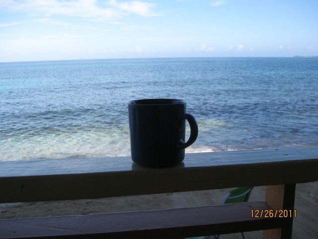 Name:  IMG_5950.JPG
Views: 591
Size:  55.3 KB