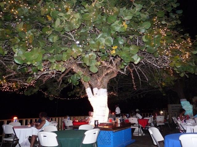 Name:  ja13 058.jpg
Views: 610
Size:  63.4 KB