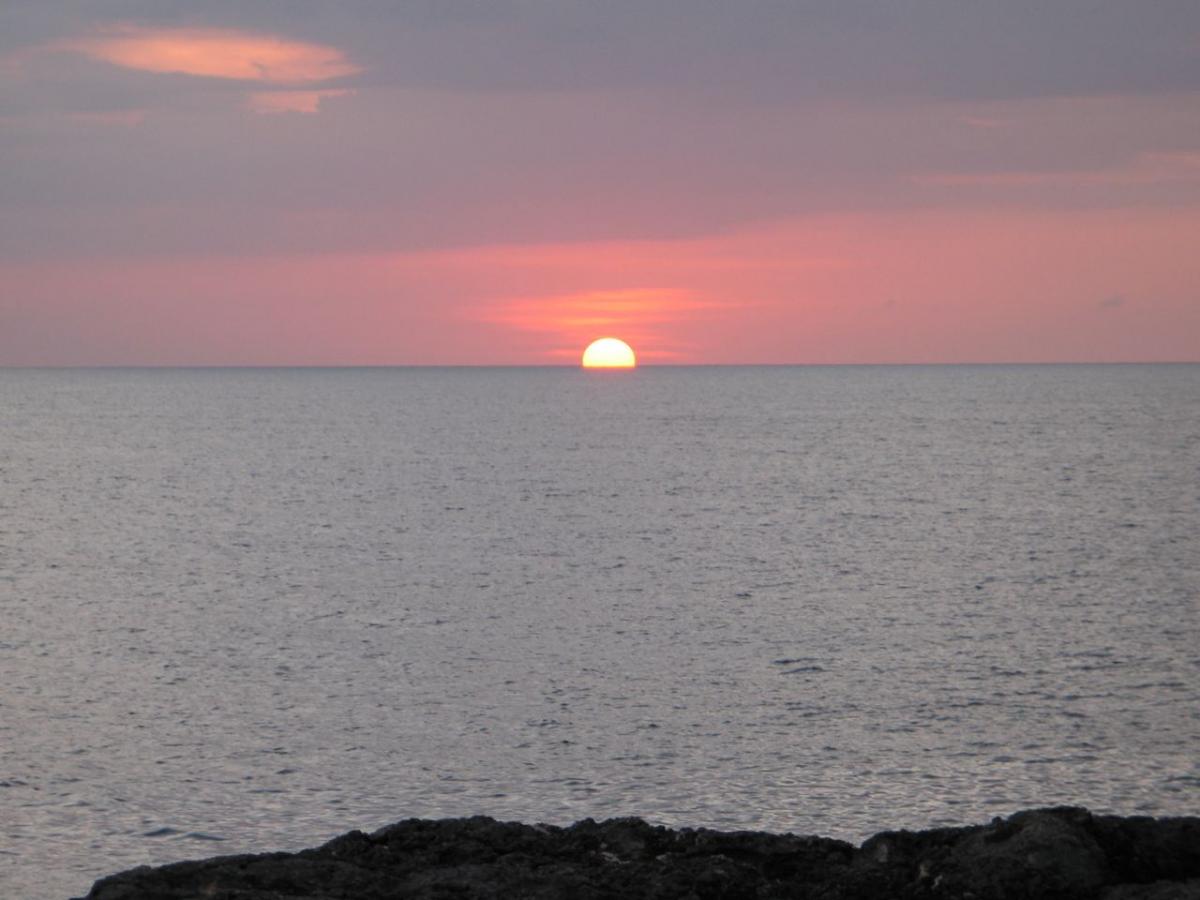 Name:  IMG_0989.jpg
Views: 675
Size:  87.1 KB