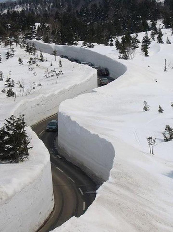 Name:  Too cold for me.jpg
Views: 368
Size:  87.0 KB