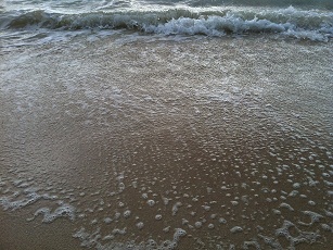 Name:  5.jpg
Views: 834
Size:  47.2 KB