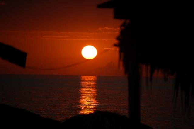 Name:  DSC_0036 (640x426).jpg
Views: 679
Size:  14.6 KB
