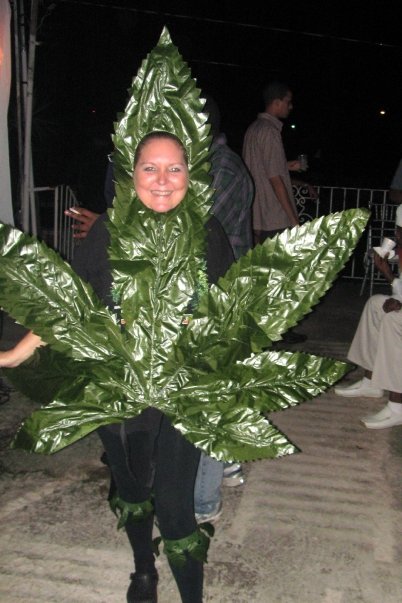 Click image for larger version. 

Name:	leaf costume.jpg 
Views:	1438 
Size:	56.2 KB 
ID:	825