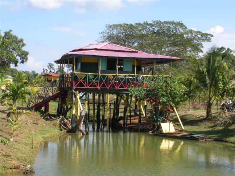 Name:  Negril Feb 2011 064 (Medium).jpg
Views: 1395
Size:  87.0 KB