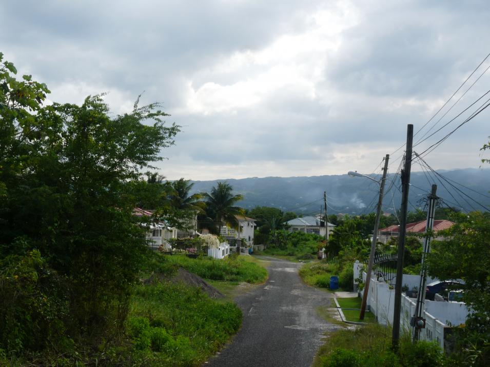 Name:  P1030750 - Copy.jpg
Views: 675
Size:  94.8 KB