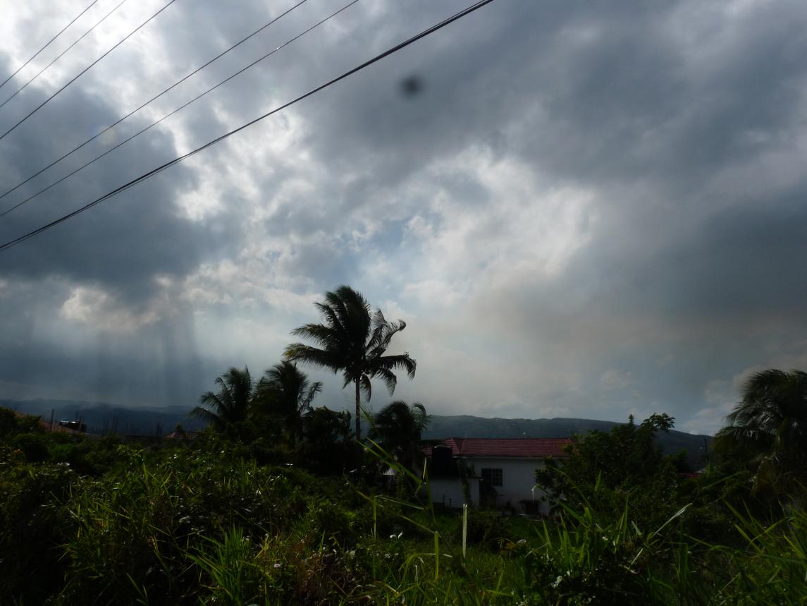 Name:  P1030753 - Copy.jpg
Views: 653
Size:  87.5 KB