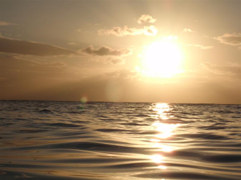 Name:  PC140003 (Medium).JPG
Views: 1614
Size:  55.8 KB