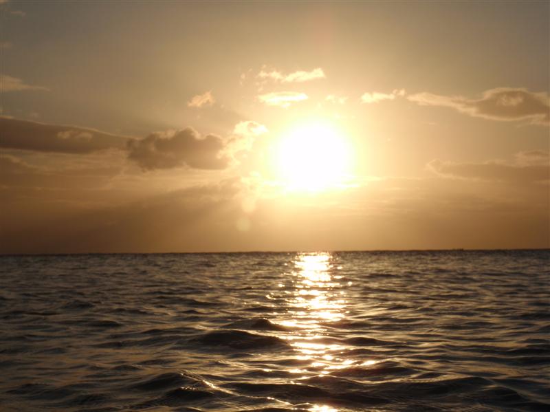 Name:  PC140005 (Medium).JPG
Views: 1664
Size:  58.9 KB