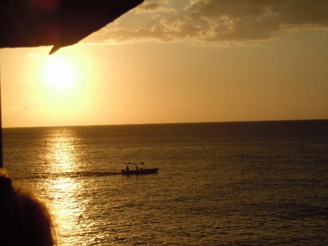 Name:  DSCN3206 (640x480).jpg
Views: 466
Size:  34.5 KB