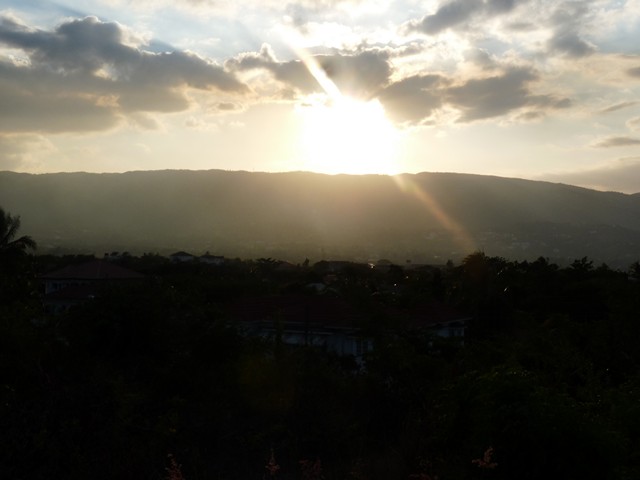 Name:  P1030787.JPG
Views: 700
Size:  67.1 KB