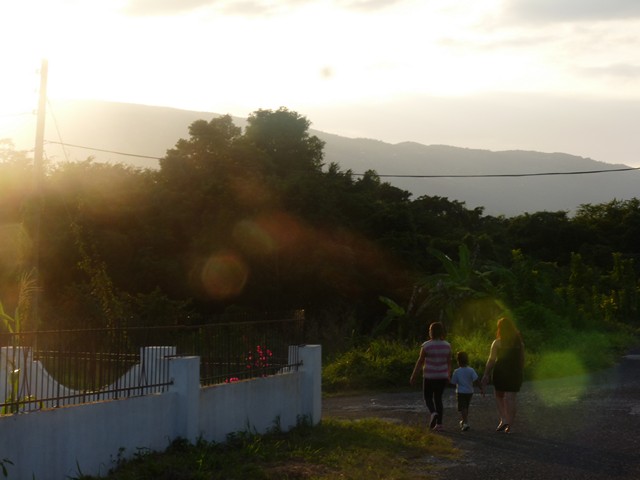 Name:  P1030788.JPG
Views: 693
Size:  74.6 KB
