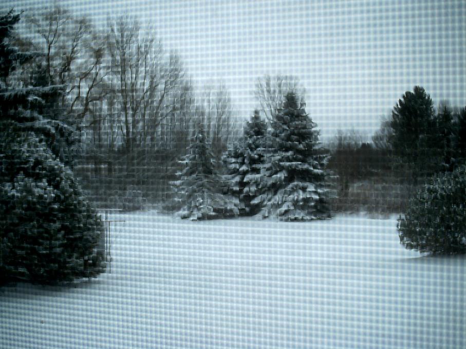 Name:  IMAG0075.jpg
Views: 247
Size:  93.8 KB