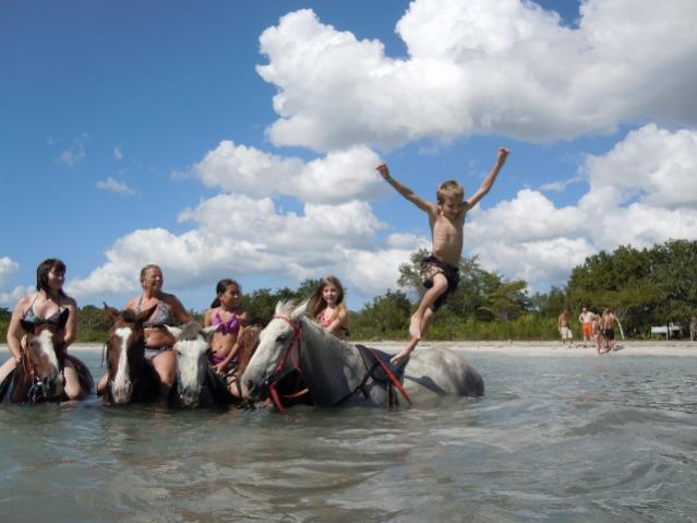 Name:  DSCN3284 (640x480).jpg
Views: 706
Size:  39.0 KB