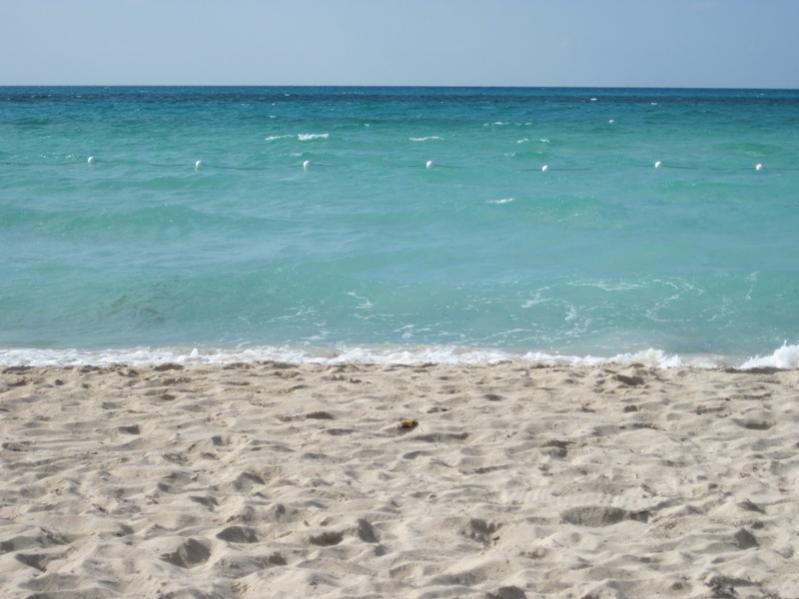 Name:  Picture 284.jpg
Views: 1612
Size:  53.2 KB