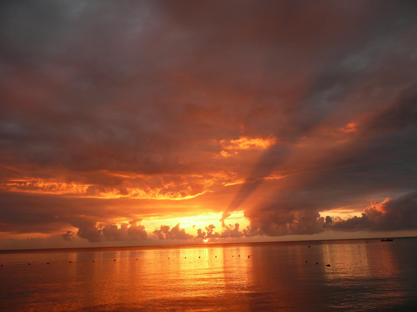 Name:  ja 2008 474.jpg
Views: 623
Size:  86.6 KB