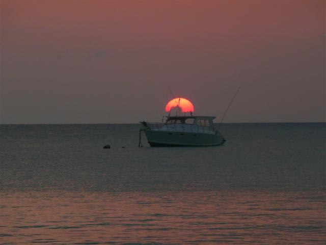 Name:  jamaica 2009 me and nicole 058 (Small).jpg
Views: 629
Size:  22.8 KB