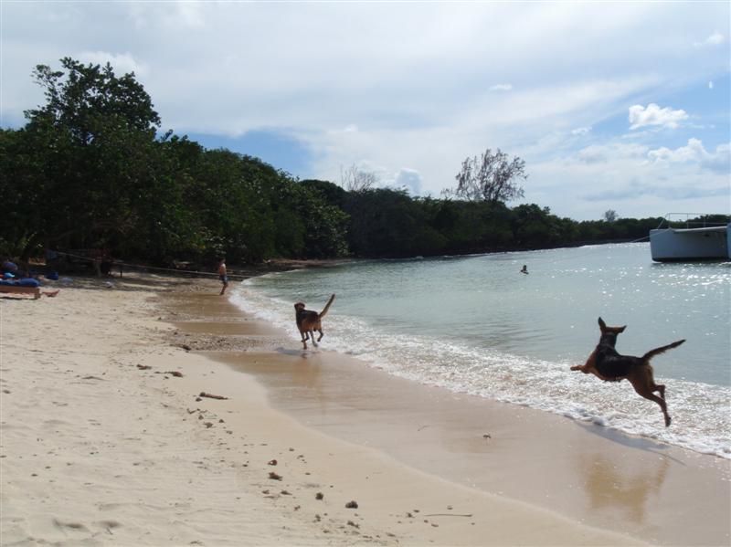 Name:  PC180131 (Medium).JPG
Views: 786
Size:  66.8 KB