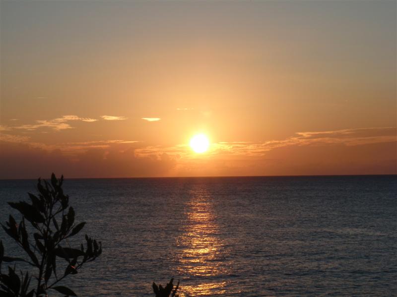 Name:  PC180145 (Medium).JPG
Views: 774
Size:  54.0 KB